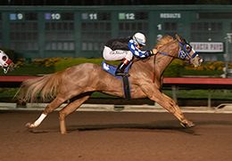 Los Alamitos