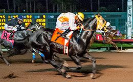 Minecraft, under jockey Sergio Becerra, Jr., qualifying for the Golden State Million Futurity(G1) at Los Alamitos Race Course.
