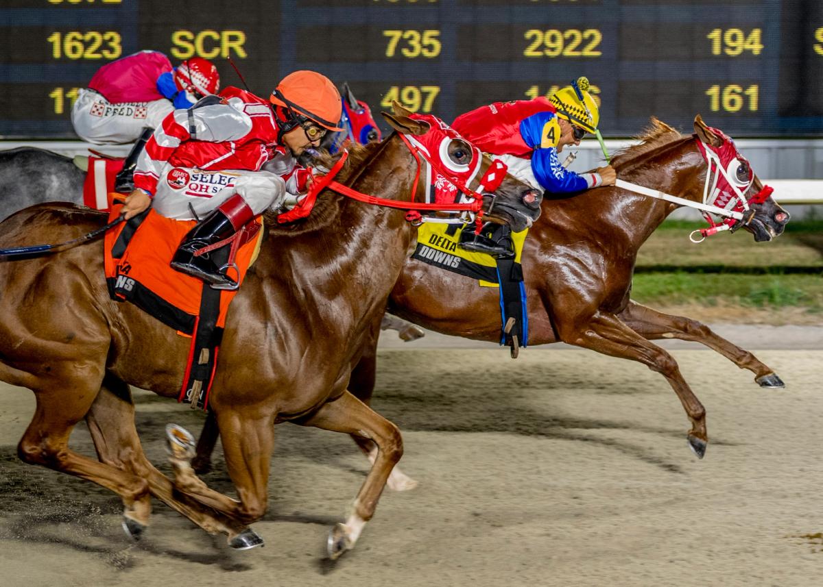 KJ Meduzza Holds Off Man For Cos In $561,054 LQHBA Sale Futurity(RG1)