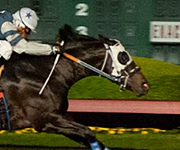Los Alamitos