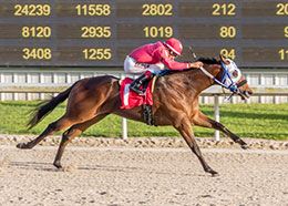 Valiant Heart Z, under jockey Nestor Duran, posted the third fastest clocking in trial 5.