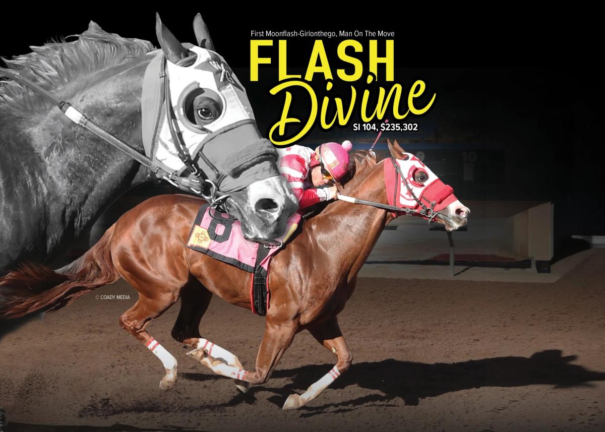 Flash Devine Will Stand The 2027 Season at Crystal Springs Farm and Racing