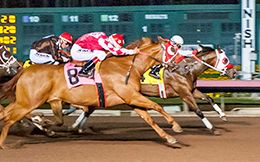 Los Alamitos