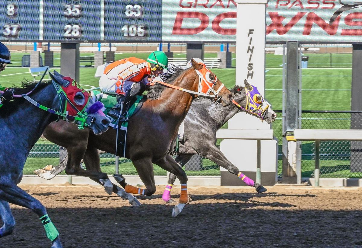 Docs Flaming Card Battles To Victory In Far West Futurity Consolation