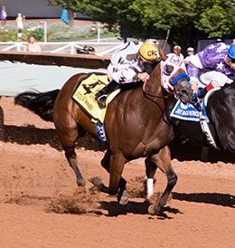 Stolis Winner, under champion jockey G.R. Carter, Jr. winning the 2008 All American Futurity(G1) at Ruidoso Downs.