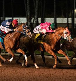 Hes Chickless defeating Party Politics in the $195,200 El Primero Del Ano Derby at Los Alamitos Race Course.
