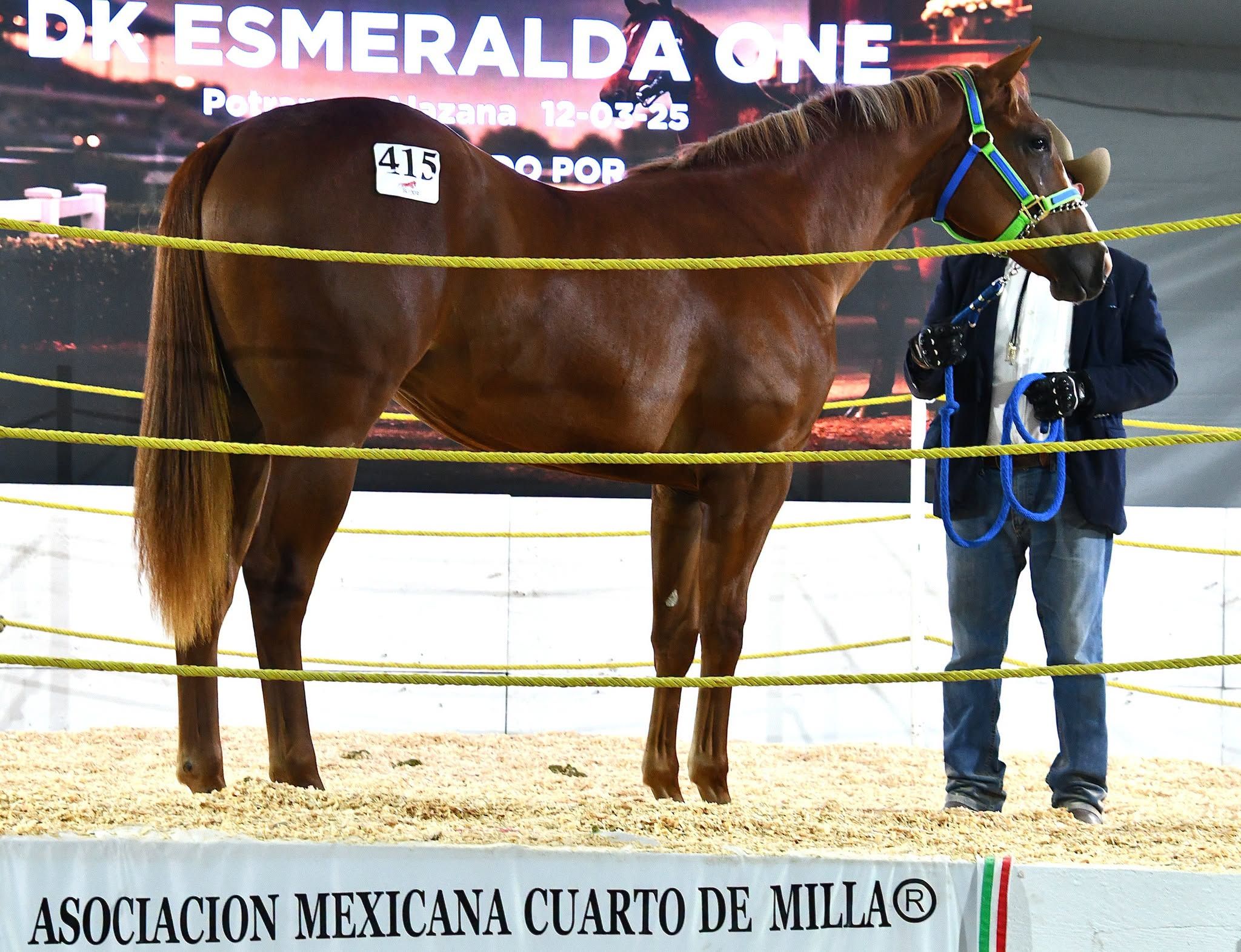 Luis Prieto Zamudio