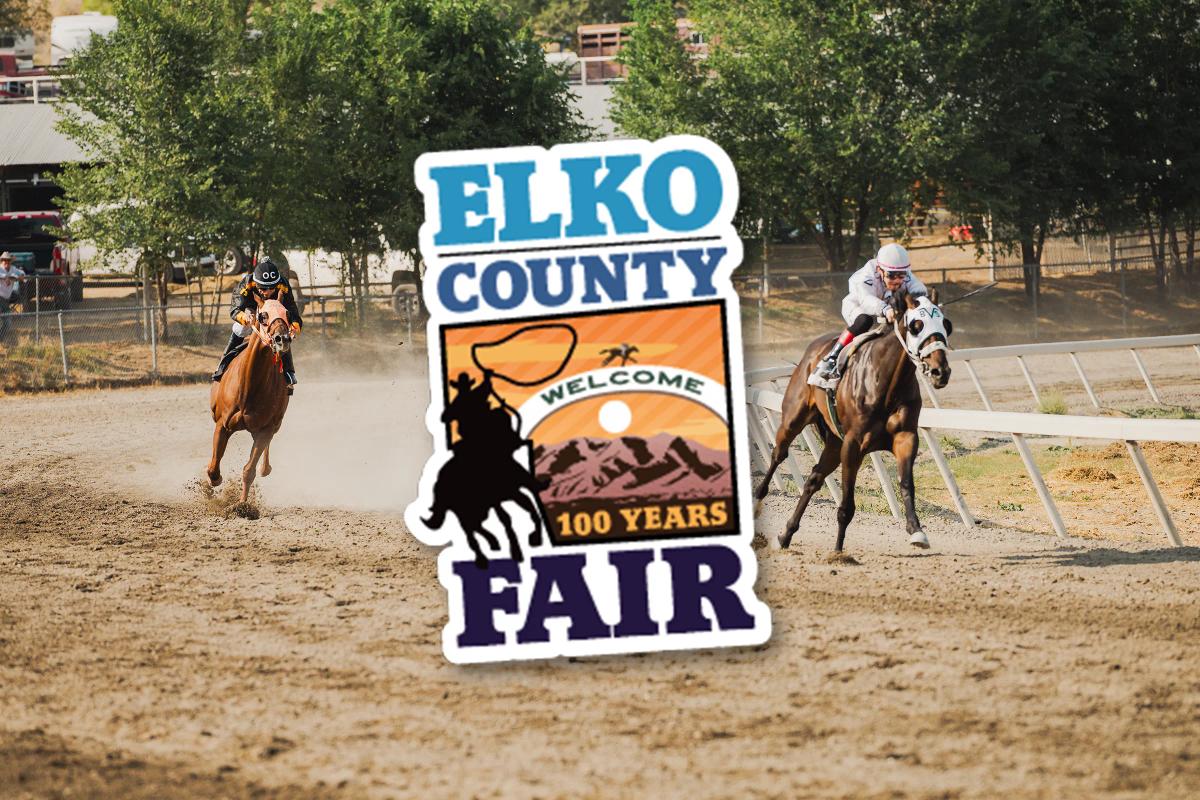 Bg Hawks An Eagles Extends Win Streak in Western States Paint & Appaloosa Futurity