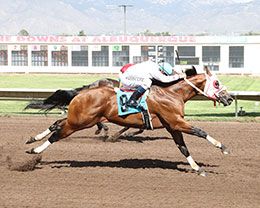 Kempton, under champion jockey James Flores, qualifying in the 10th trial Saturday.