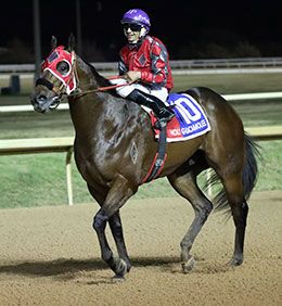 Holy Guacamolee and jockey Juan Pulido return from their big victory at Lone Star Park Saturday night.