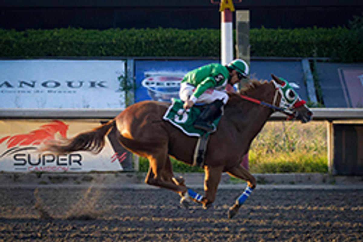 Miguel Angel Espinoza / Hipodromo de Las Américas
