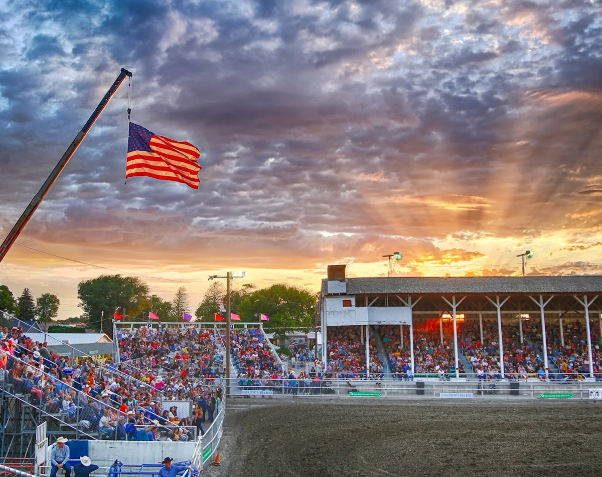 Gw Lighning Strike Prevails In Cassia County Fair Paint & Appaloosa Futurity