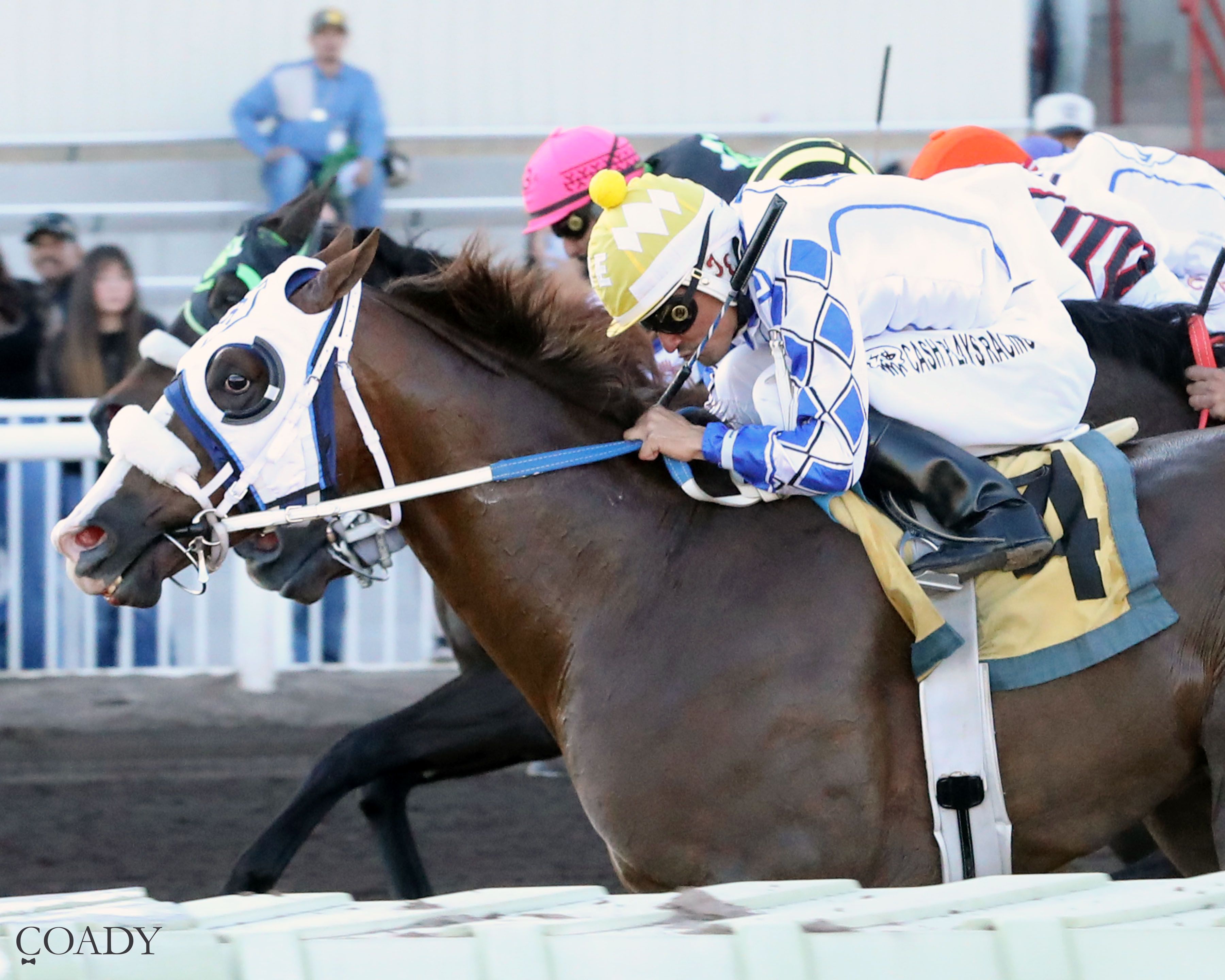 My Golden Boy and jockey Jacob Enriquez capture the $495,569 La Fiesta Futurity (G3) at The Downs at Albuquerque on October 18.