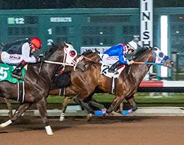 Hot t Favorite, under jockey Jose Nicasio, qualified from the second trial on Sunday night.
