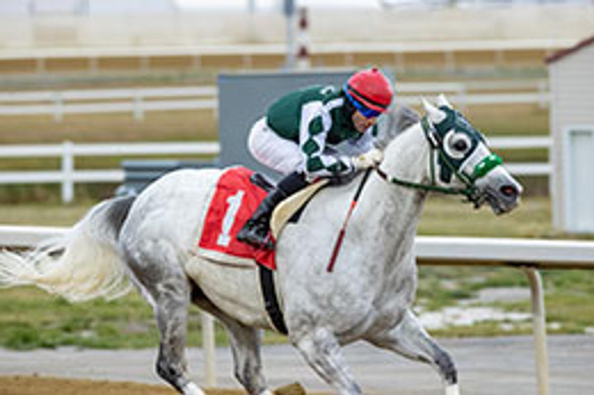 Century Downs