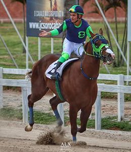 Jockey Vicente Barros is the leading rider by wins in 2025 at the Sorocaba Racetrack