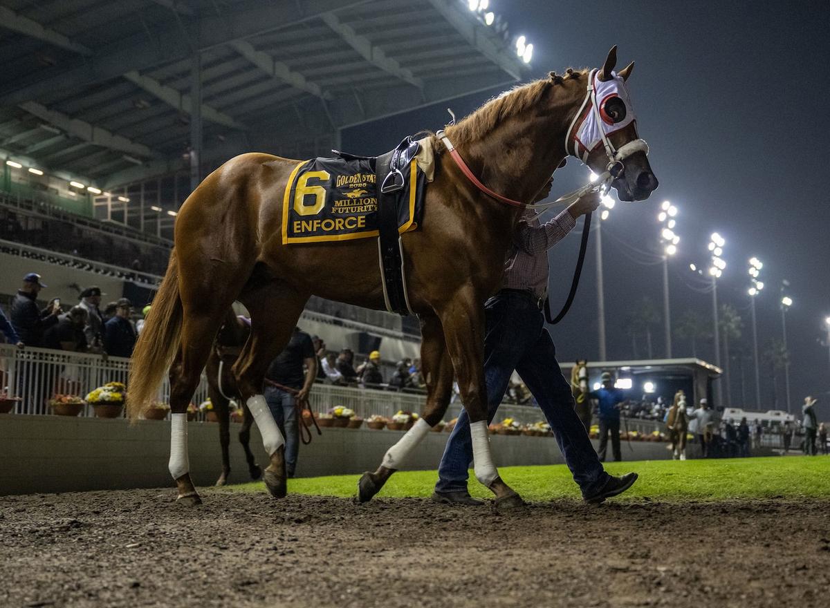Grade 1 Winner Enforce To Retire To Burns Ranch For 2027