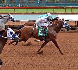Moonflash Numbers (#5), under jockey Sergio Becerra, Jr., defeats such horses as Eagles Fly Higher and Blue Corazon to qualify for the 2018 $3 million All American Futurity at Ruidoso Downs.