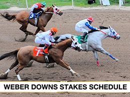 Weber Downs