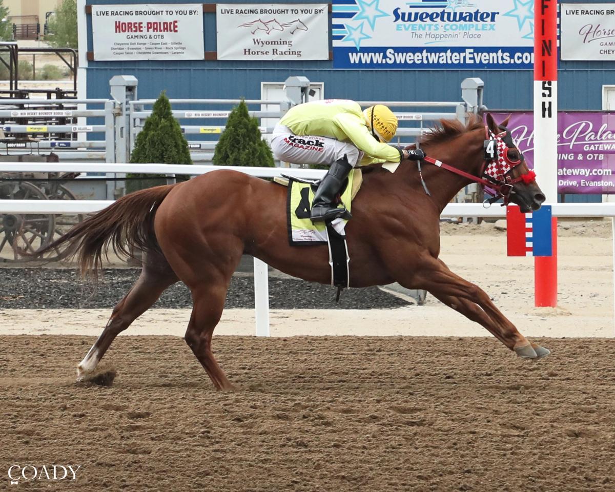 Hard To Politic Tops Sweetwater Downs Maturity Qualifiers