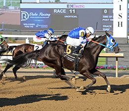 Apolitical Mission, under jockey Rolando Pina, won the closing trial on Tuesday at Horseshoe Indianapolis.