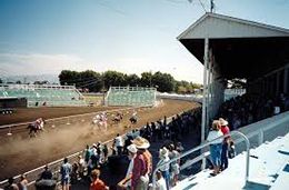Cassia County Fair