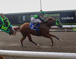 Miguel Angel Espinoza / Hipodromo de Las Américas