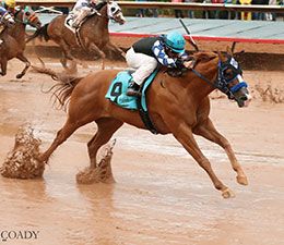 Two-time Grade 1 winner Lethal Cowboy 123, under jockey Edwin Escobedo, qualified in the second trial.