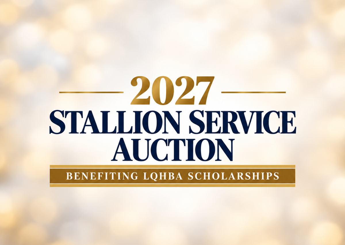 LQHBA Opens Donations For 2027 Stallion Service Auction Benefiting Scholarship Program