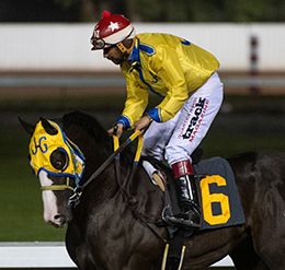 Los Alamitos