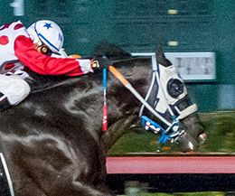 Los Alamitos