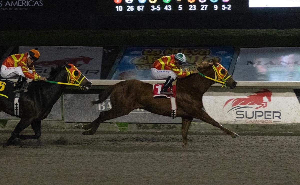 DK Goliat Leads Cuadra San Martin Exacta in Derby Desafío Crianza Mexicana