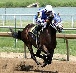 Sydney Jack, under jockey Rolando Pina, posted the second fastest time.