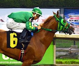 One Famous Temptaton headlines the John Deere Juvenile Challenge on Sunday at the Hipodromo de las Americas.