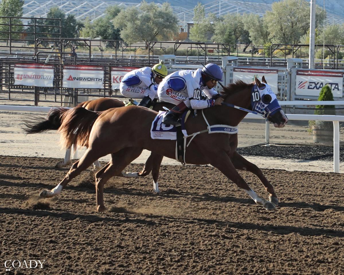 Tossin And Turnin Powers To Sweetwater Downs Derby Victory