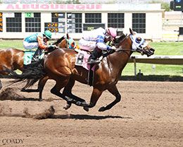 Holy Pete, under jockey Ali Rivera, set the second fastest qualifying time Wednesday.