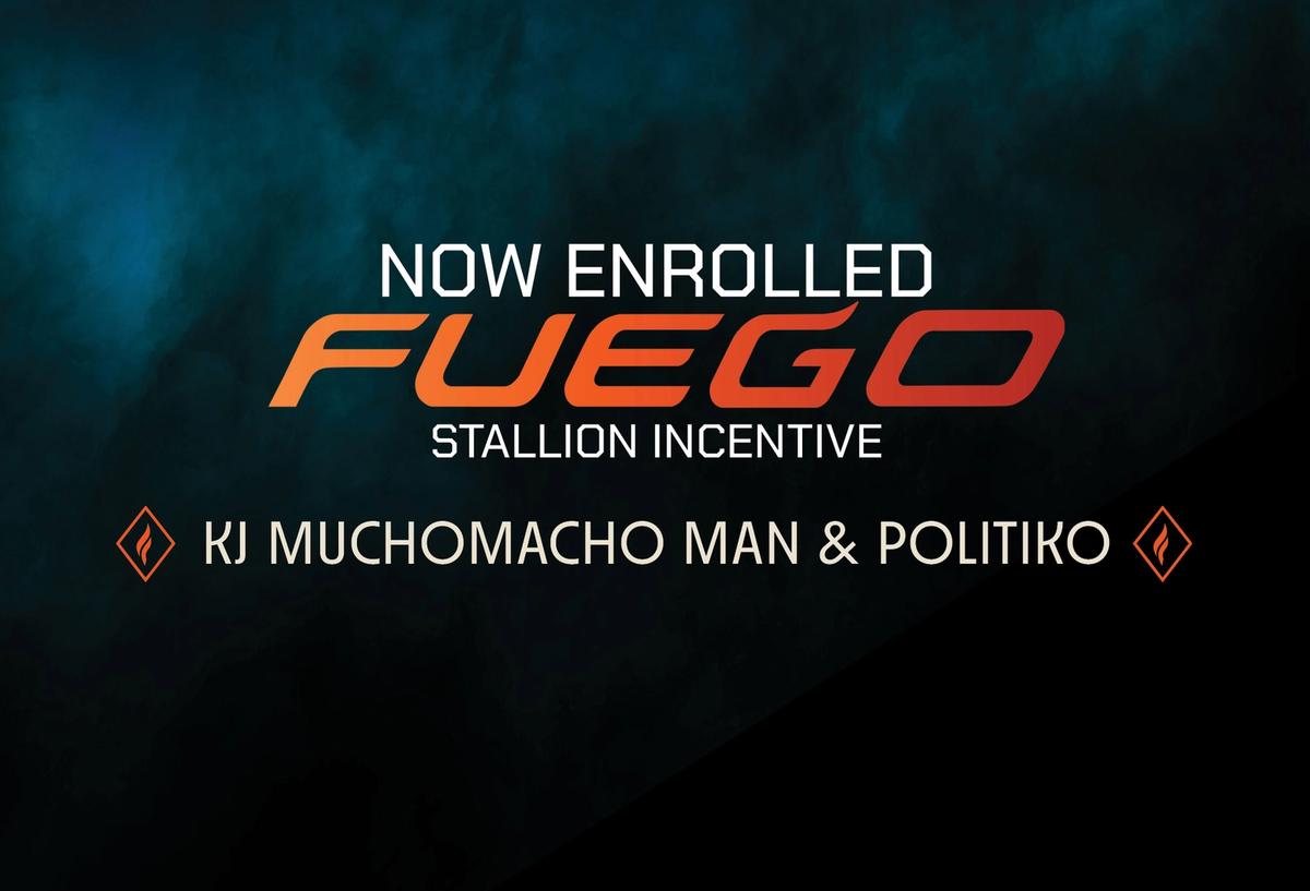KJ Mucho Macho Man and Politiko Join FUEGO Stallion Incentive