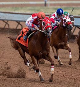 Aguila Rapida, under jockey Bryan Candanosa, qualifying in trial 12 on Friday at Ruidoso Downs.