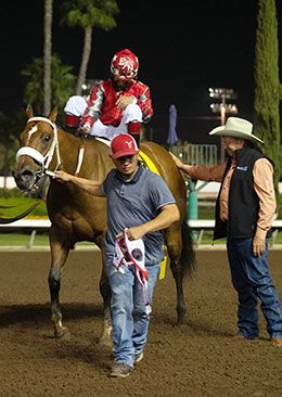 Pattys Saint is welcomed back by trainer Monty Arrossa.