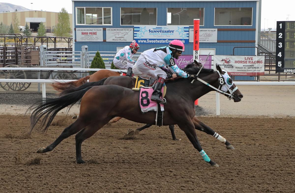 Papas Dynasty Surges Late To Win WABRA Wyoming Bred Derby Consolation