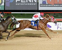 Coady Photography