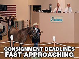 All American Ruidoso Horse Sales sent out a reminder that the two yearling sale consignment deadlines are due May 1 (NM Bred) and May 15 (Ruidoso Select). 