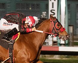 Los Alamitos