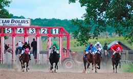Chippewa Downs