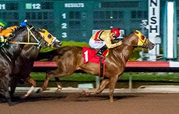 See It Clearly under jockey Guillermo Lara, was an easy winner in the Debutante Stakes on Saturday.