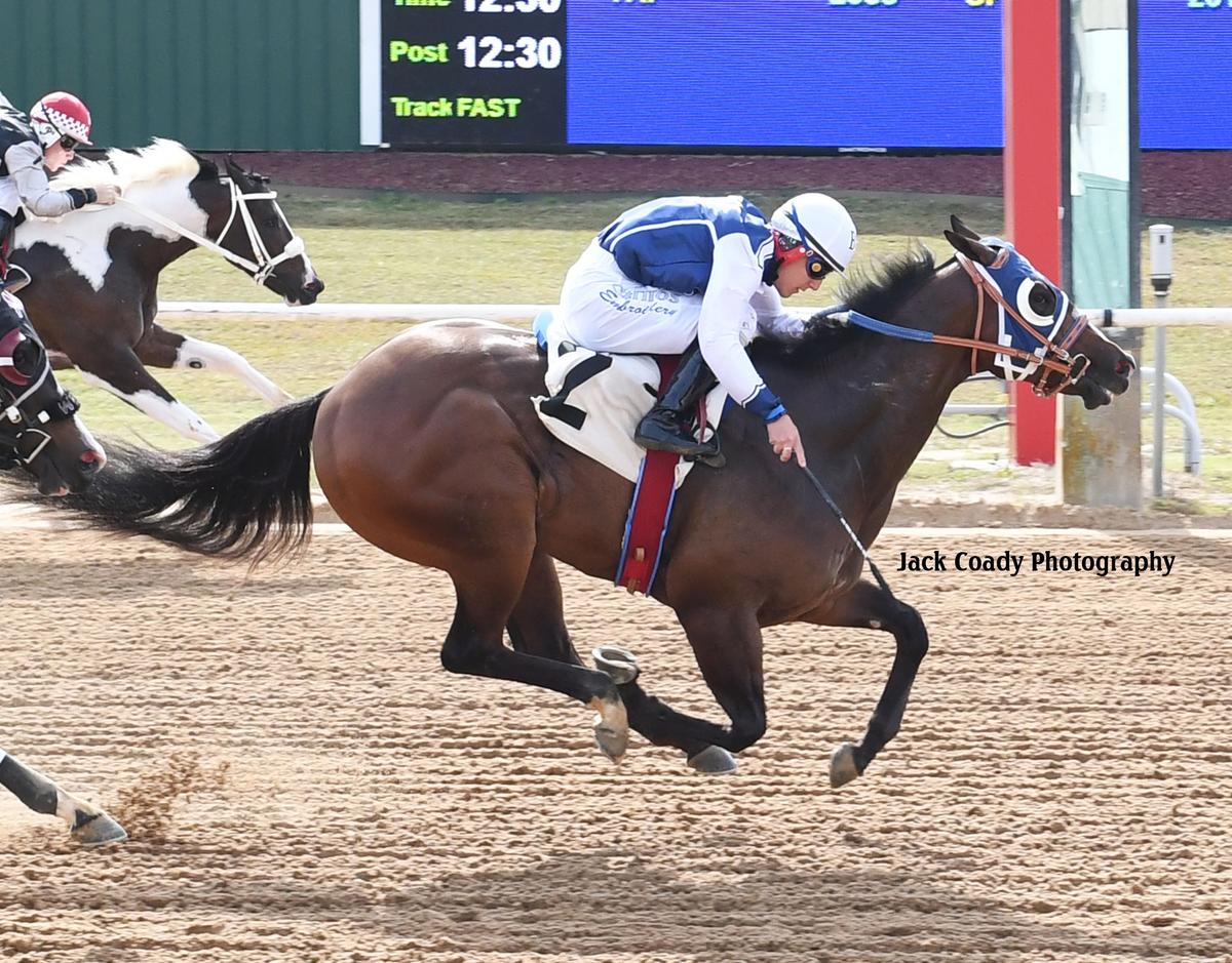Bp Hott Success Tops Speedhorse Paint & Appaloosa Futurity Championship Trials at Will Rogers Downs