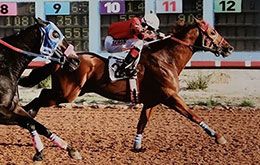 Fs Power Maxx, under jockey Jorge Nieto-Saenz, winning a $64,500 Allowance at Zia Park.