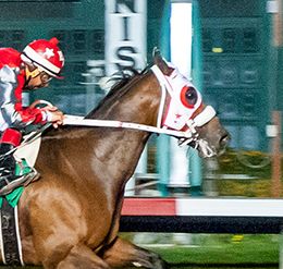 Los Alamitos