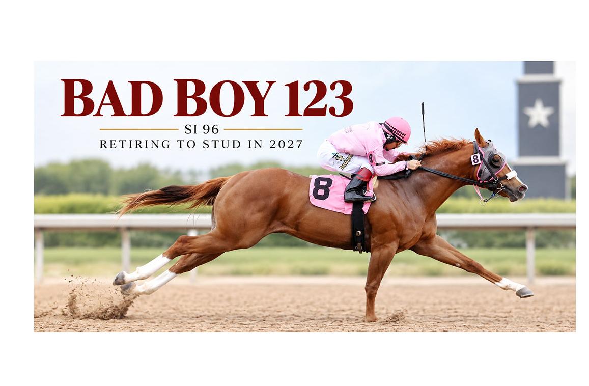 Grade 2 Bad Boy 123 Retires to Anderson Equine for 2027