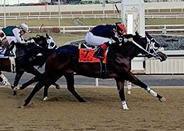 Century Downs